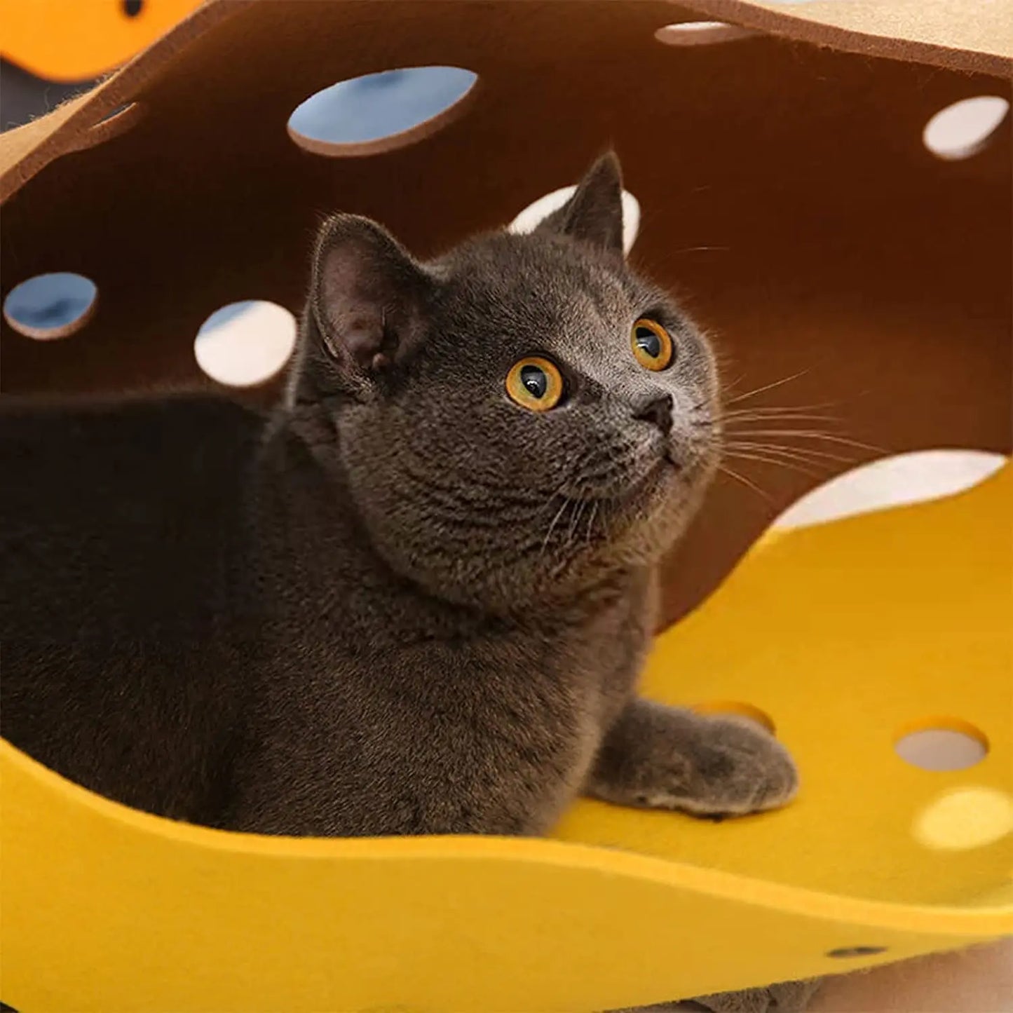 Cat Tunnels Bed Foldable Pet Tunnel Tube Bed with Holes DIY Cats Play Mat Cat Activity Rug Toy for Interactive