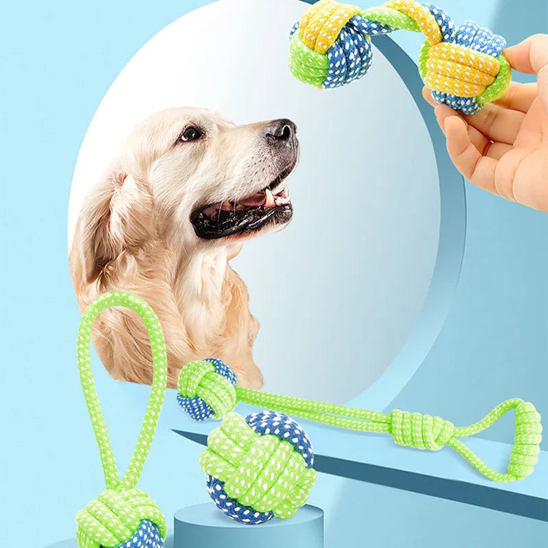 Brinquedos interativo para cães - Meus Pets -